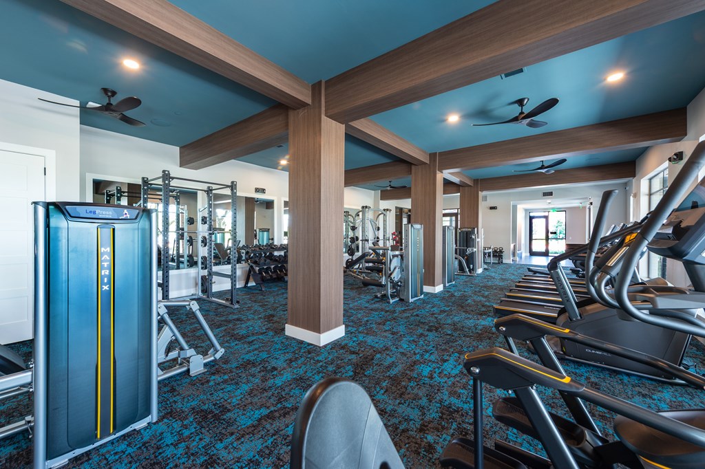 A gym with a row of treadmills and a row of weight machines.