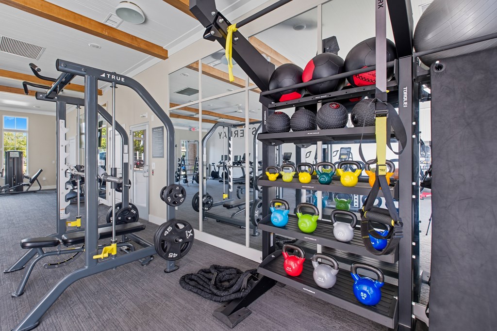 A gym with a variety of equipment including weights and a TRX suspension trainer.