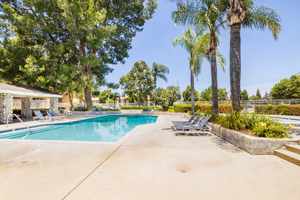 a swimming pool with chaise lounge chairs and palm trees