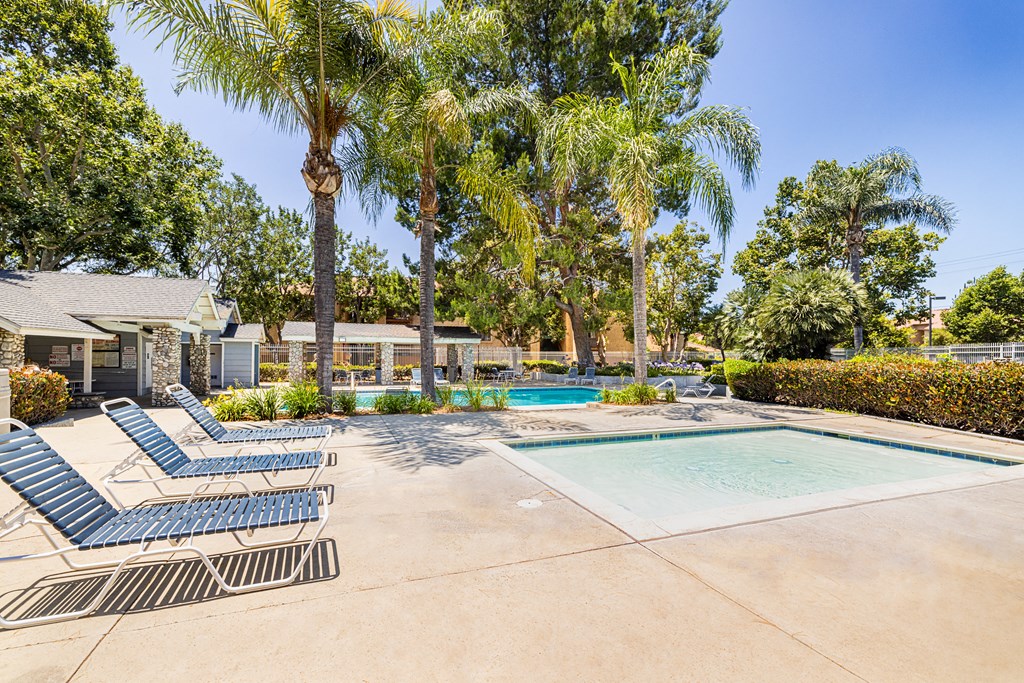 pool deck with lounge chairs and palm trees