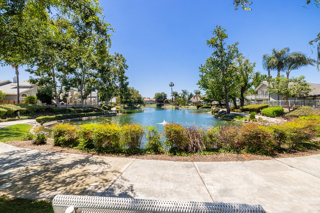 a view of the pond with trees in the background