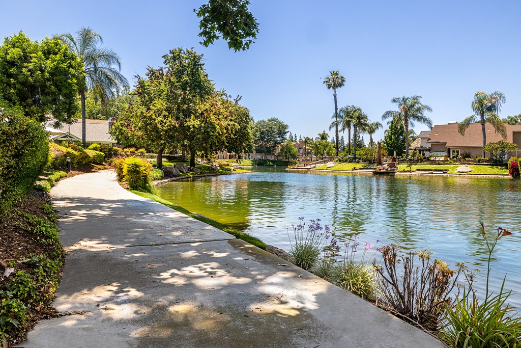 a path around a lake