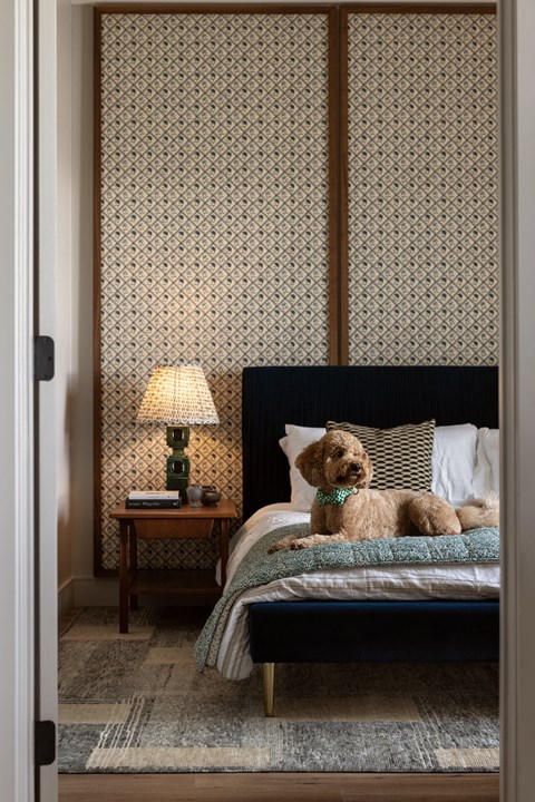 a dog sitting on a bed in a bedroom
