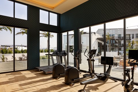 a gym with cardio machines and glass windows