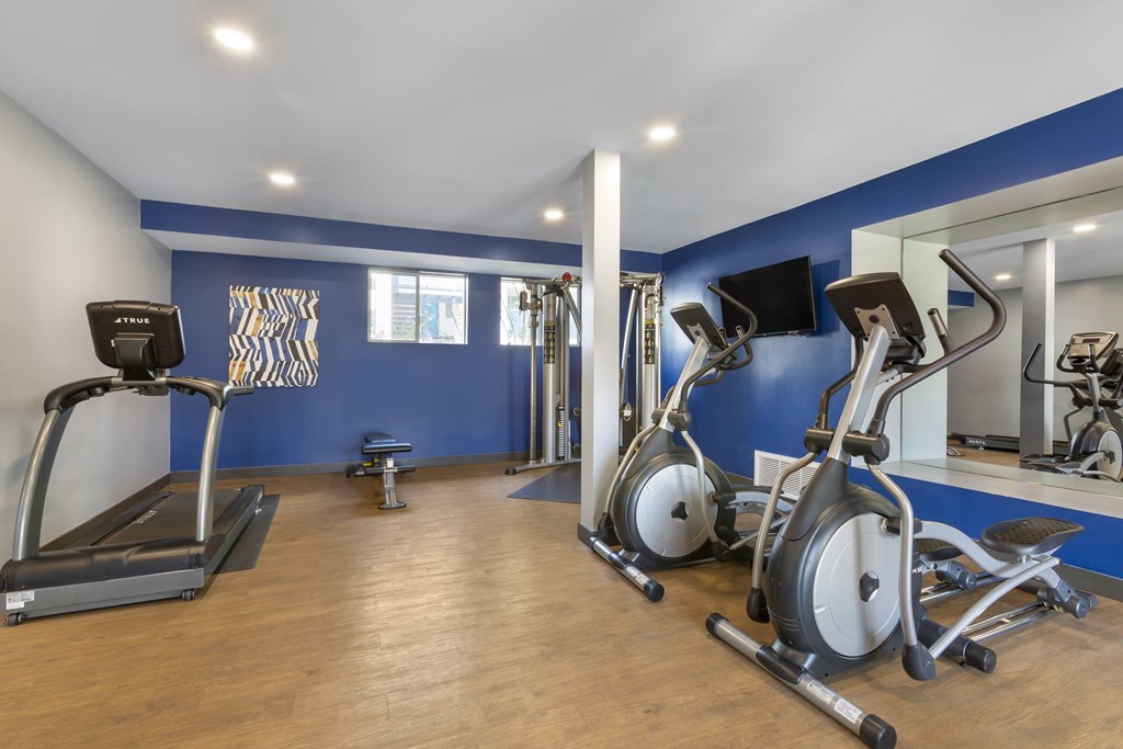 A gym with treadmills, exercise bikes, and a mirror.