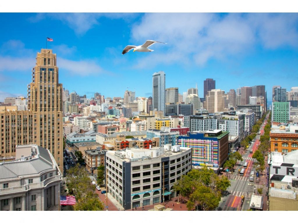 a seagull flies over the san francisco skyline
