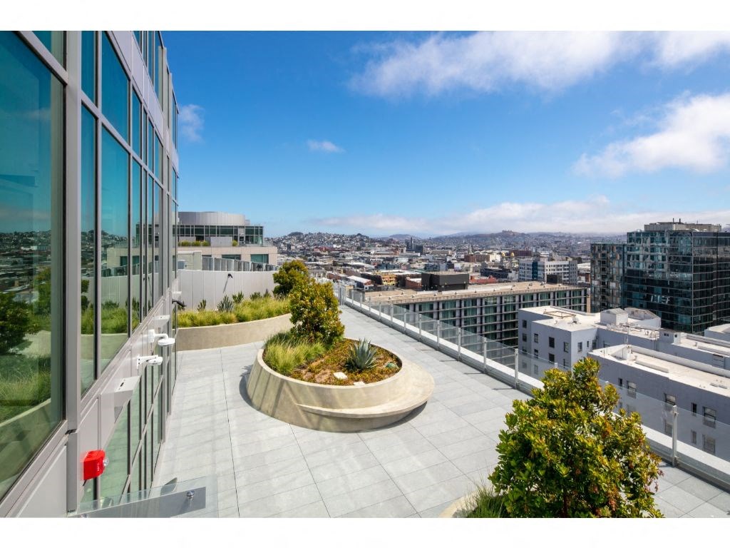 San Francisco Luxury Apartments - Rooftop Outdoor Lounge With Seating, Maintained Landscaping, And City Views.