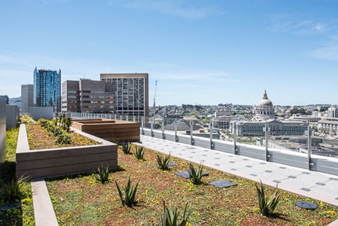 a green roof on top of a building in san francisco