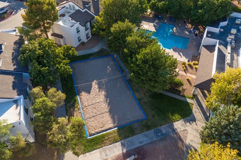 an aerial view of a neighborhood with a swimming pool and trees