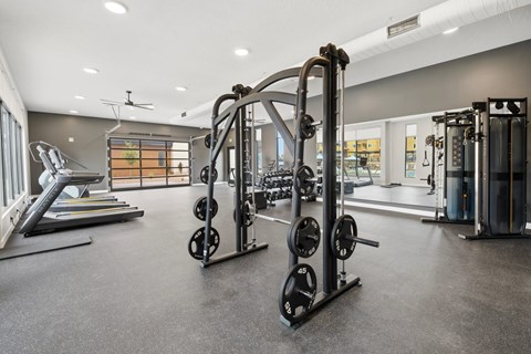 A gym with a treadmill, weights, and a squat rack.