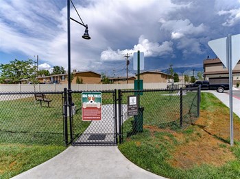 dog park - Photo Gallery 12