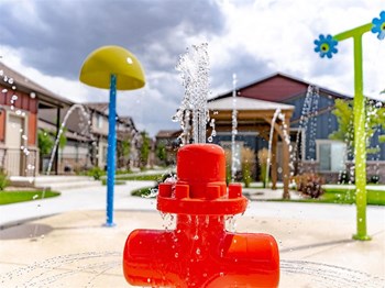 water park - Photo Gallery 4