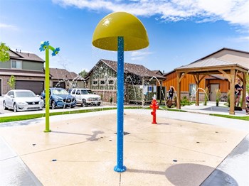 water park - Photo Gallery 5