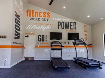 gym - Photo Gallery 8
