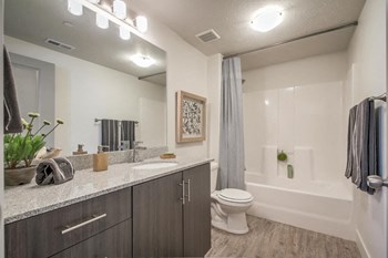 model bathroom with soaking tub and grey cabinetry - Photo Gallery 11