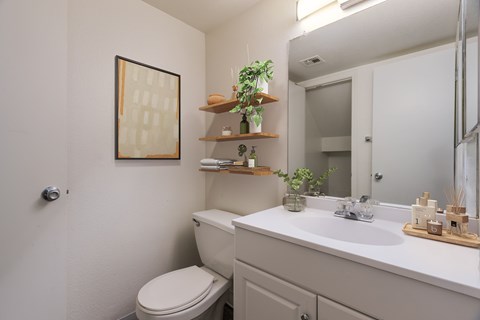 A bathroom with a toilet, sink, and mirror.