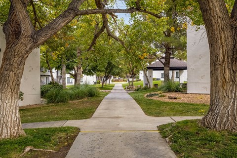 sidewalk through trees and buildings at thevillage at legacy