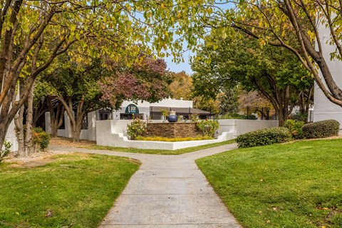 a sidewalk leading to a house with trees and a fountain