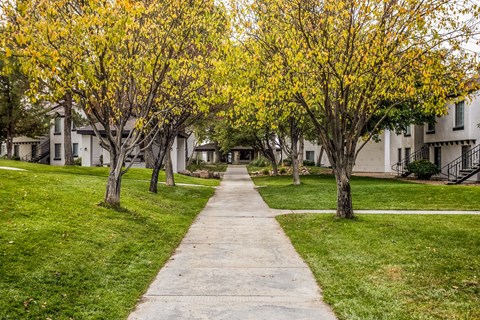 a tree lined sidewalk in front of some houses