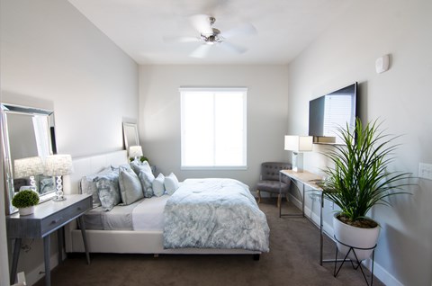 A bedroom with a bed, a chair, a plant, and a mirror.