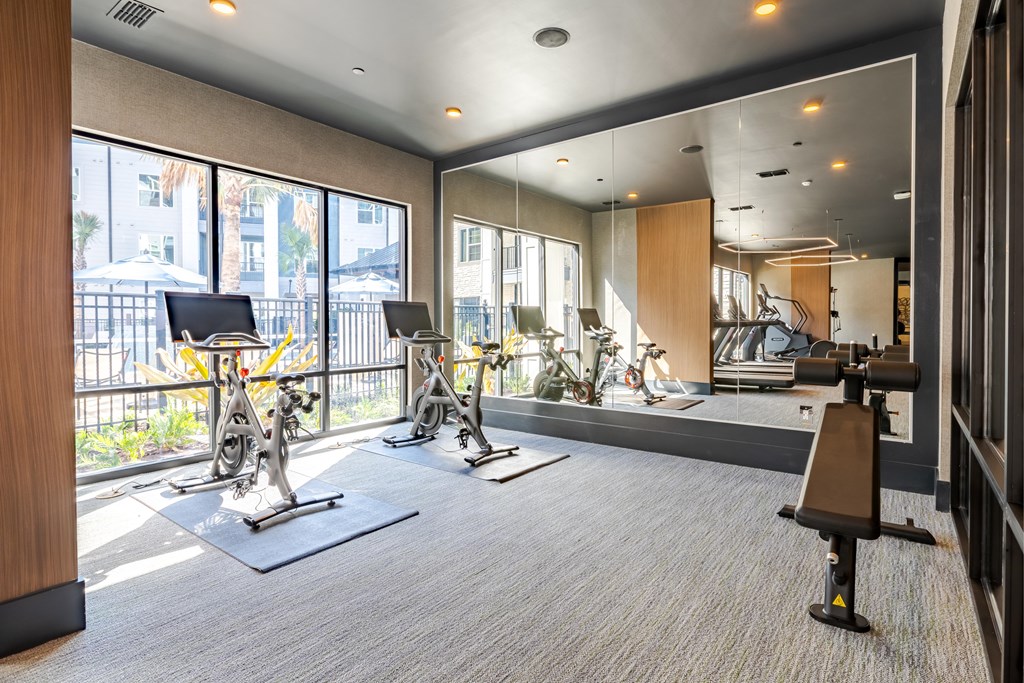 A gym with a row of exercise bikes and a mirrored wall.
