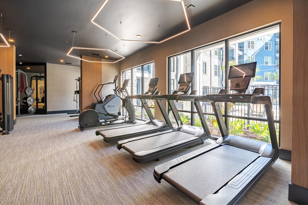 A gym with treadmills and exercise equipment.
