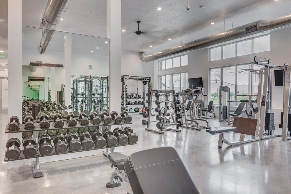 a gym with weights and cardio equipment and windows
