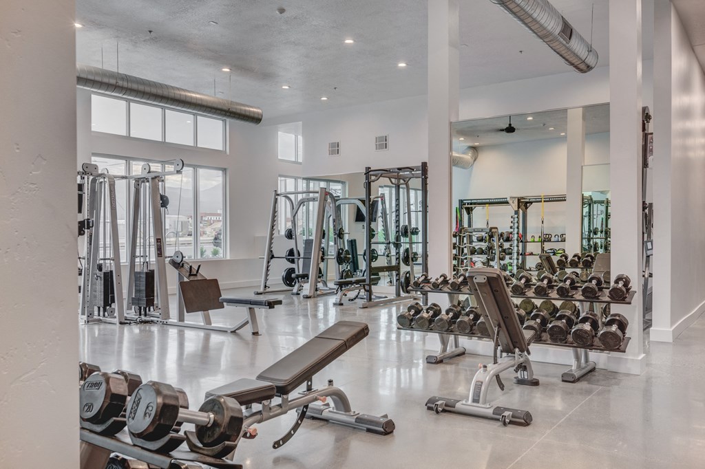 a gym with weights and cardio equipment in a building