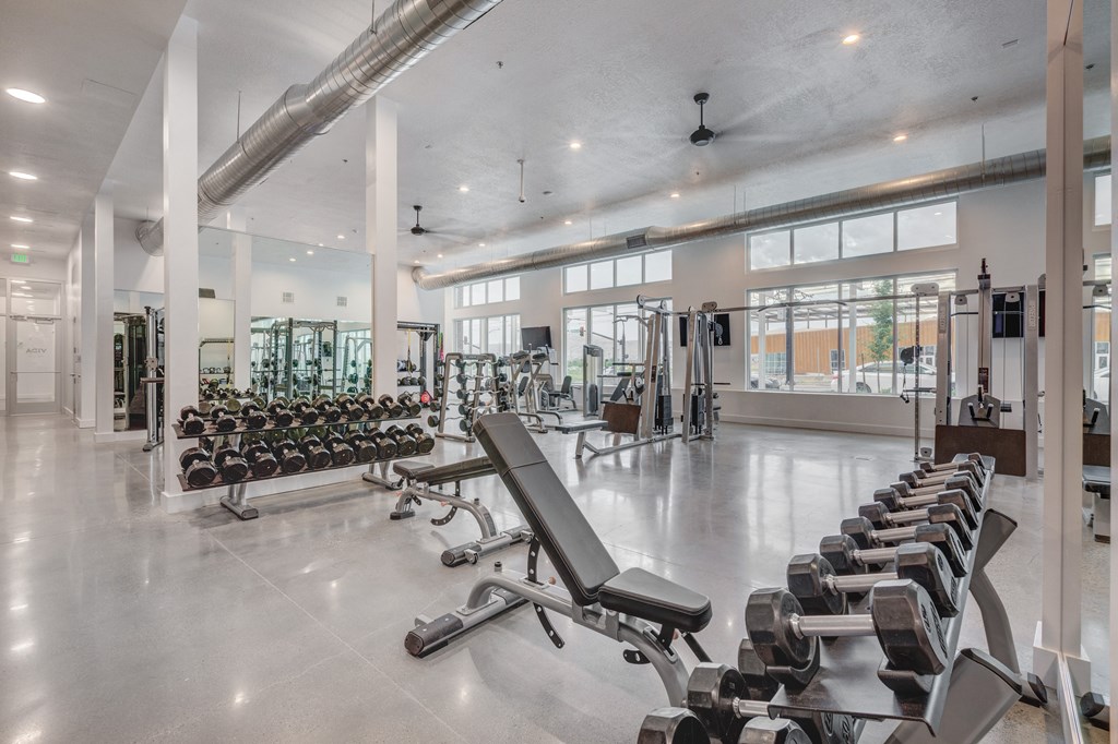 a gym with rows of weights and dumbbells