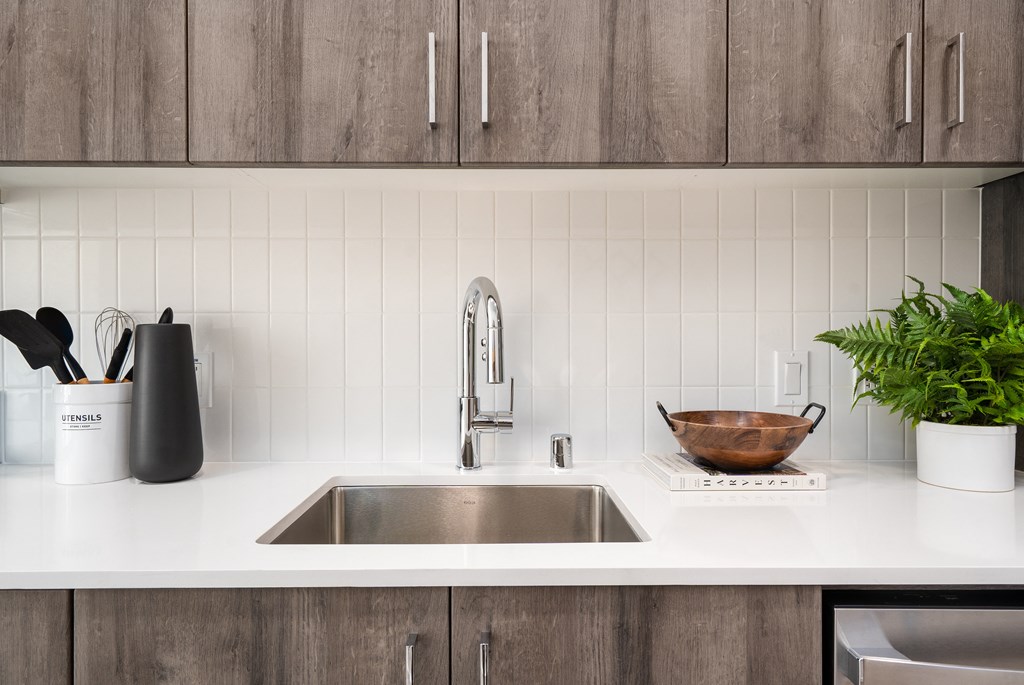 a kitchen sink with a plant on the counter and cabinets in the background