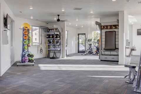 Full Gym