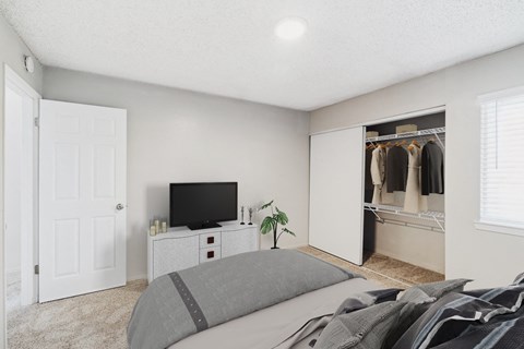 A bedroom with a bed, a television, and a closet.