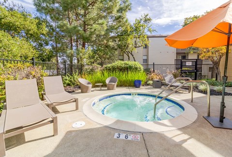 A small pool surrounded by a concrete patio and a black fence.