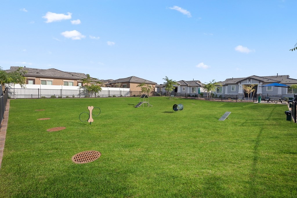 Large outdoor green Bark park for pets