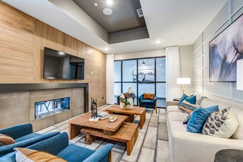 222 Maple Street Studio-2 Beds Apartment for Rent - Photo Gallery 3