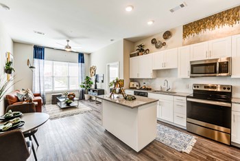 222 Maple Street Studio-2 Beds Apartment for Rent - Photo Gallery 5