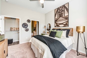 222 Maple Street Studio-2 Beds Apartment for Rent - Photo Gallery 6