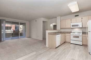 Empty Unit - Kitchen and Living Area - Photo Gallery 5