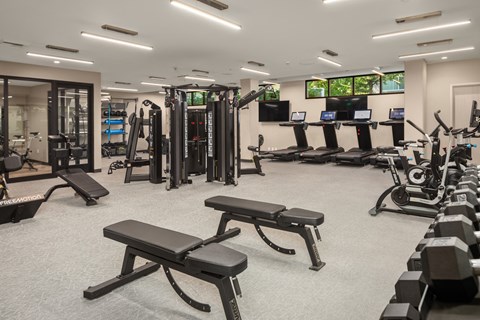 a gym with weights and other exercise equipment in a building