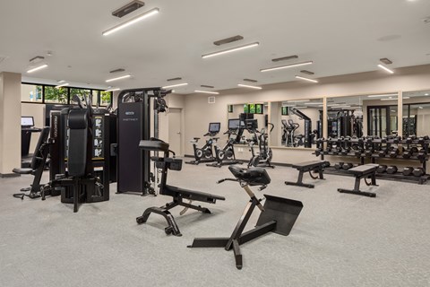 a gym with cardio machines and weights in a large room with windows