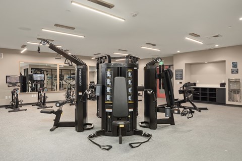 a gym with weights and other equipment in a large room