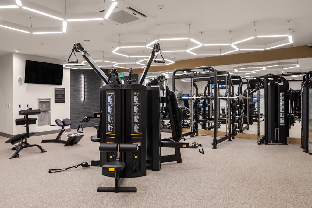 a large fitness room with weights and other exercise equipment