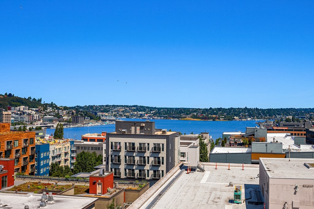 the view of the city and the water from the roof of a building