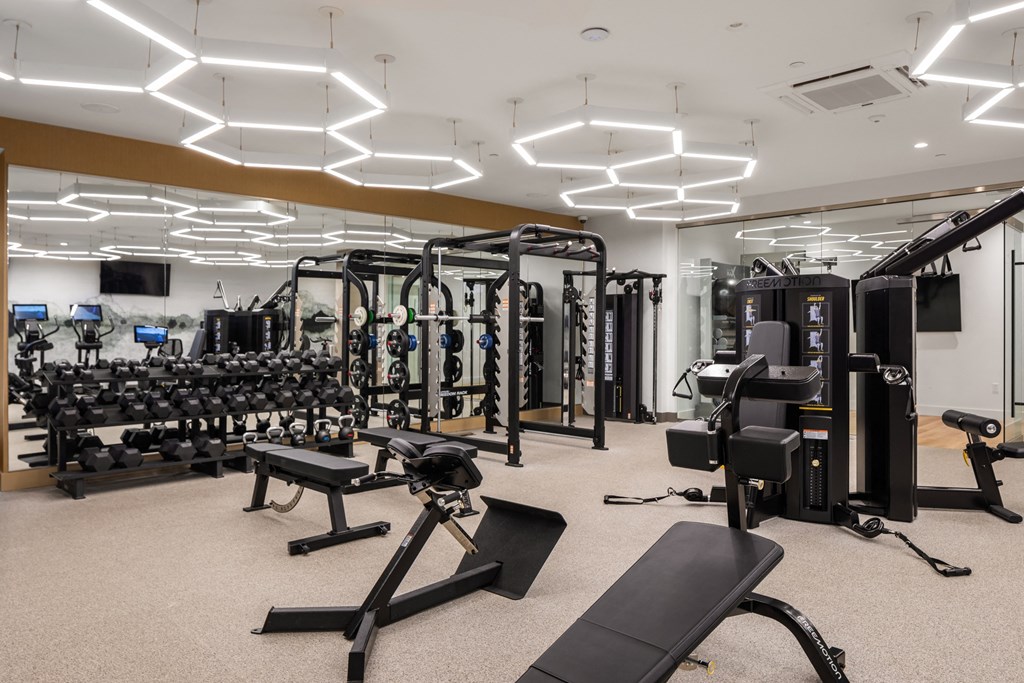 a gym with cardio equipment and weights on the floor