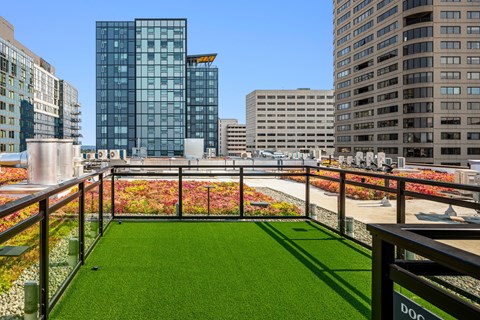 a view of a city from a rooftop garden with grass