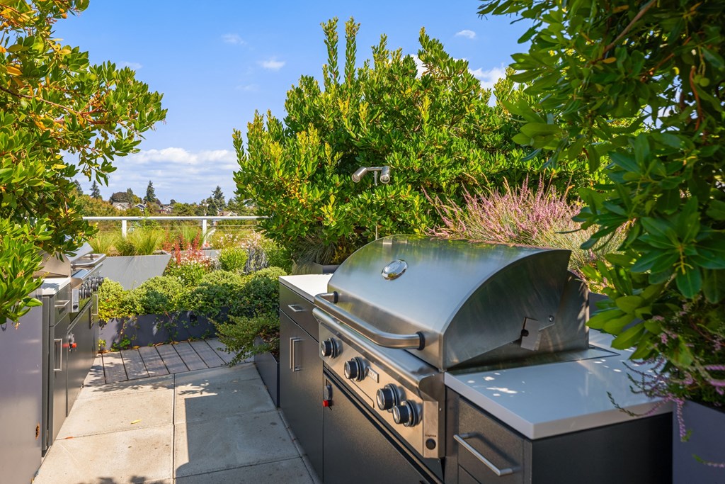 a  stainless steel barbecue grill in a backyard with trees