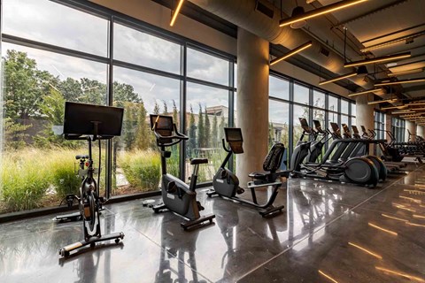 A gym with treadmills, exercise bikes, and elliptical machines.