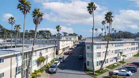 a view of a street in oceanside with palm trees on both sides of the street