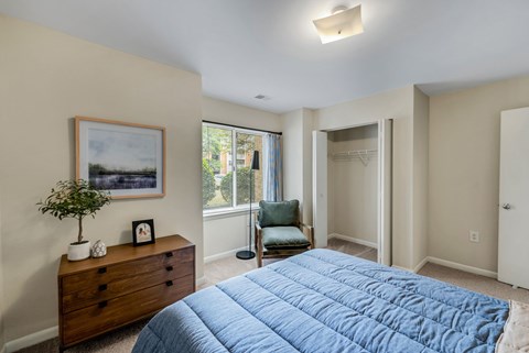 A bedroom with a blue comforter on the bed.