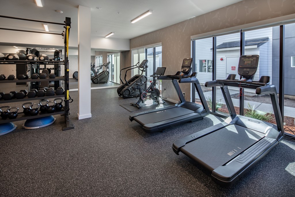 A gym with treadmills, weights, and exercise equipment.
